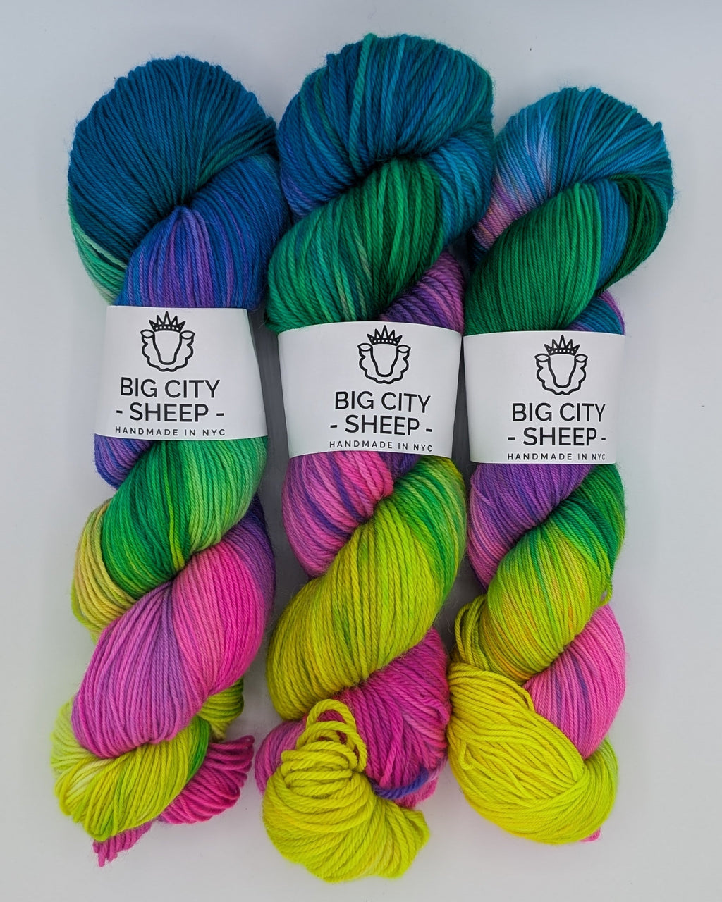 Three skeins of hand-dyed yarn from Big City Sheep, featuring vibrant multicolor gradients of blue, green, pink, and yellow, each wrapped with a white paper label.